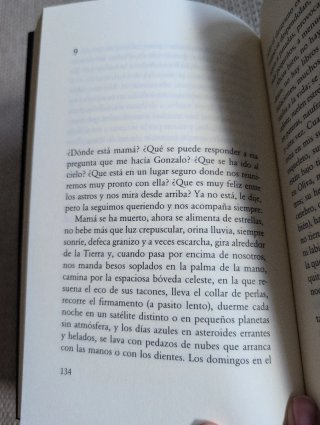 El río de cenizas