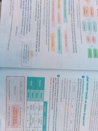 Lengua Castellana y Literatura . 6 Primaria. Tr...
