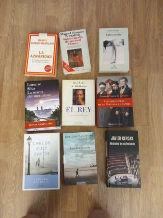 Lote de libros de narrativa española