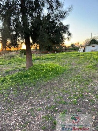 Terreno en venta en Los Pinares-La Masía en Bétera