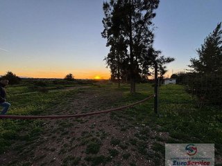Terreno en venta en Los Pinares-La Masía en Bétera