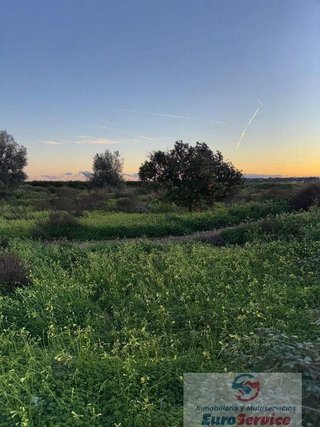 Terreno en venta en Los Pinares-La Masía en Bétera