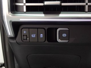 Hyundai Santa Fe 1.6 TGDi HEV Tecno 4x2 Auto 169 kW (230 CV)