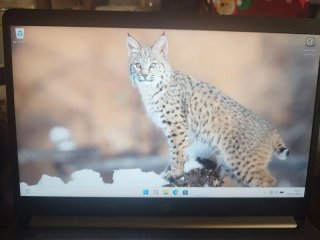 HP 245 G8, AMD Ryzen 3