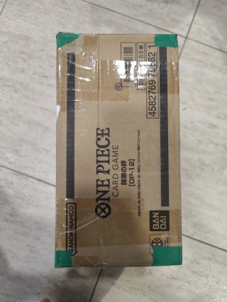 Case Op-12 japonesa