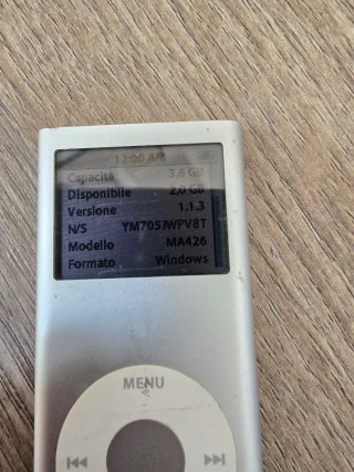 Apple iPod Argento