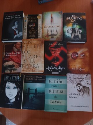 LIBROS VARIADOS(NOVELA,THRILLER,CLÁSICO Y JUVENIL)