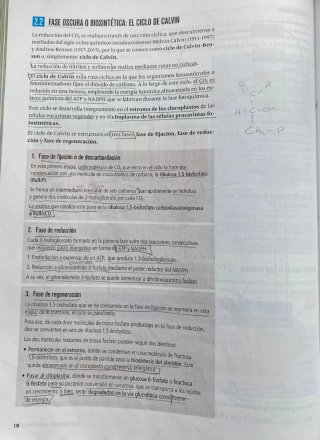 Proyecto: FanFest - Biología 2 Bachillerato