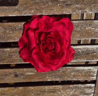 Rosa de raso