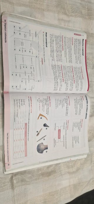 XEOGRAFIA E HISTORIA  1 ESO