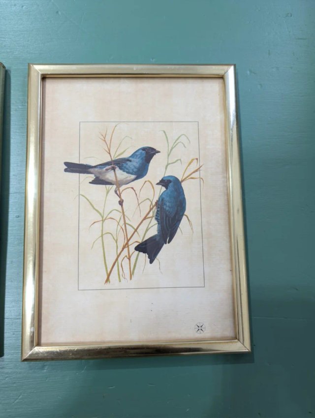 Láminas vintage de pájaros (Set de 3)
