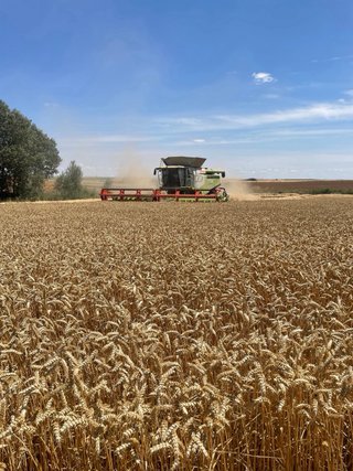 Claas Lexion 770 Terra Trac Cosechadora