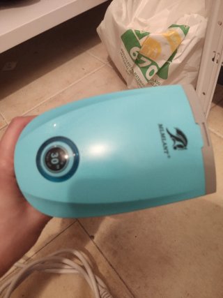 Plancha de vapor vertical