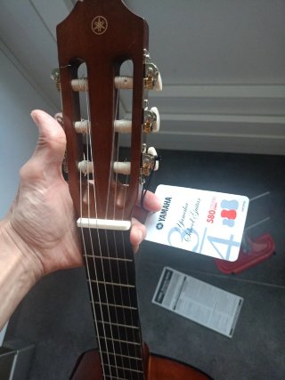 Guitarra Española Yamaha