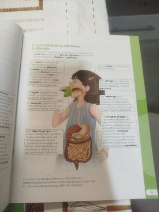 Conocimiento del medio natural, social y cultur...