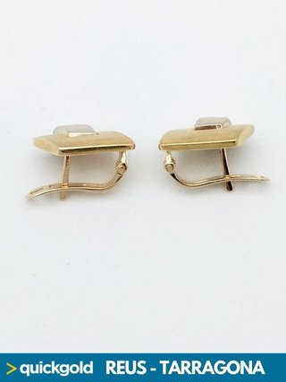 035-858 PENDIENTES ORO 18K BICOLOR  5.71GR