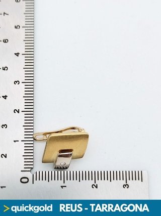 035-858 PENDIENTES ORO 18K BICOLOR  5.71GR