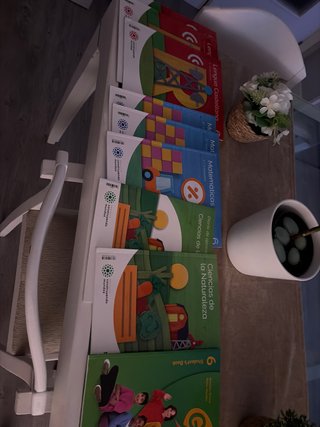 Libros de sexto de primaria