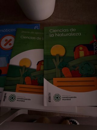 Libros de sexto de primaria
