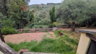 Alquiler de casa rural entera con piscina.