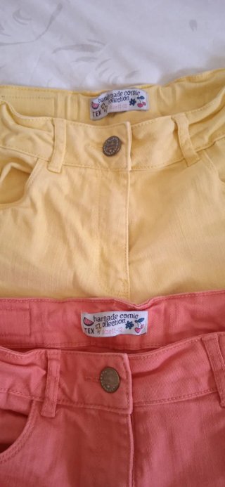 Lote 2 Shorts Niña