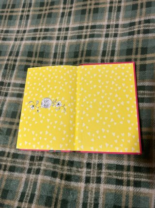 El diario de Marta la rara