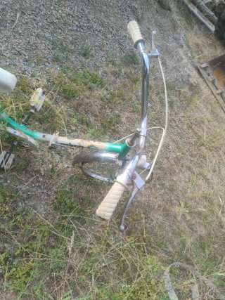 Bicicleta Clásica Verde y Blanca orbea