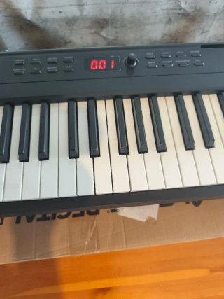 Piano Alesis Recital Play 88 Teclas