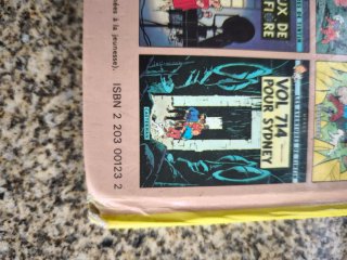 Tintin et les Picaros