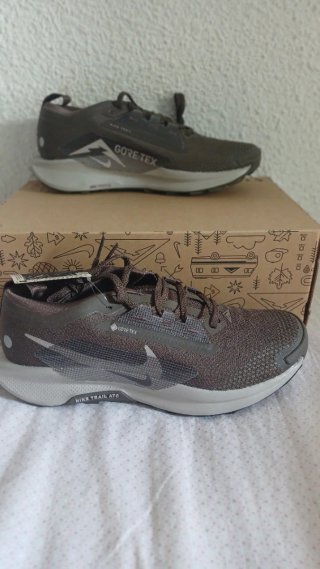 Nike Pegasus Trail 5 GTX Gris/Blanco
