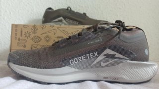 Nike Pegasus Trail 5 GTX Gris/Blanco