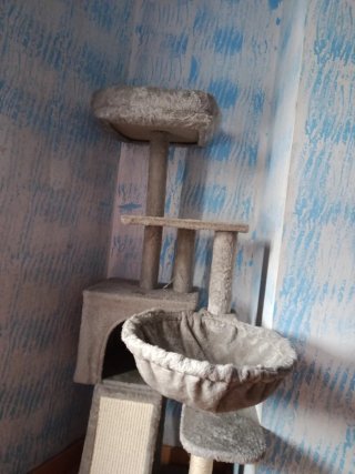 Tienda de gatos con varios niveles
