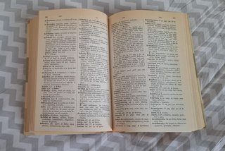Diccionario Manual Griego-Español VOX