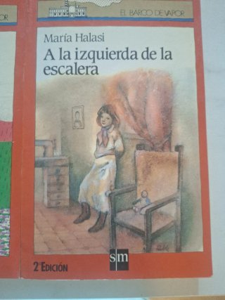 9 Libros de barco de vapor a partir de doce años
