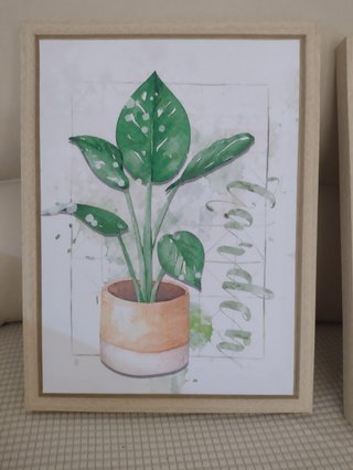 Cuadros Decorativos Naturaleza Set 2