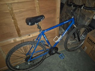 Bicicleta de montaña azul Missouri
