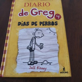 7 libros de Diario de Greg + 2 repetidos