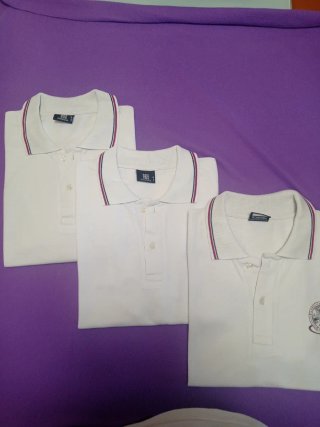 Polos F.Coll Talla M (Pack 3)
