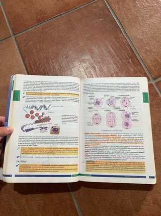 Alpha Test Professioni Sanitarie 11 edizione
