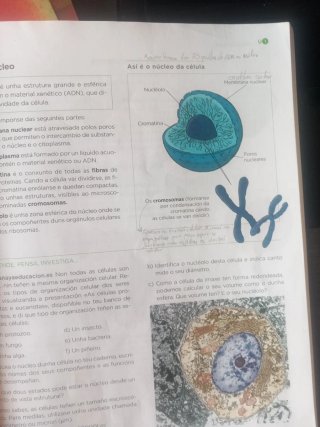 Bioloxía e xeoloxía, 3 ESO, Galicia, Operación ...