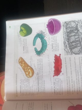 Bioloxía e xeoloxía, 3 ESO, Galicia, Operación ...