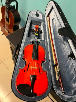 Violín con funda y arco, marca gaudieri