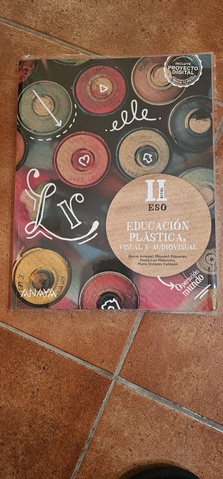 Educación Plástica, Visual y Audiovisual Nivel ...