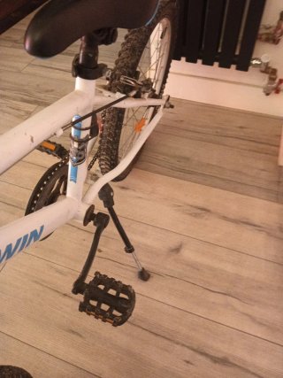 Bicicleta Infantil 20 Pulgadas sin velocidades