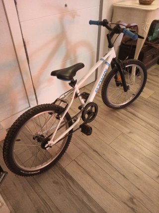Bicicleta Infantil 20 Pulgadas sin velocidades