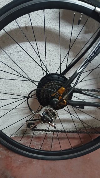 Bicicleta Flanders carretera motor