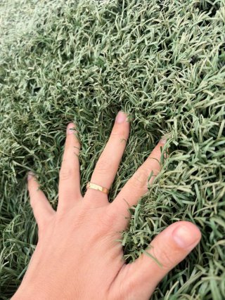 Césped artificial verde