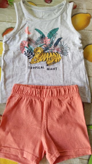 Conjunto Verano Niño Tigre Tropical