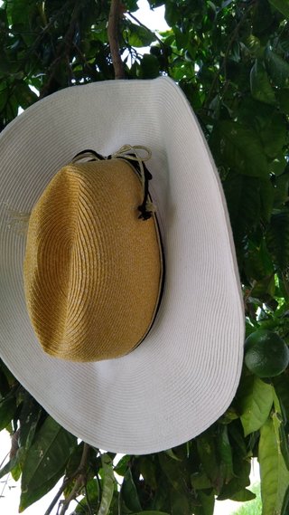 Pamela de paja ancha bicolor