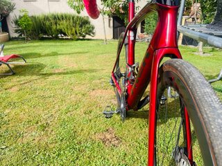 Bicicleta Trek Domane granate talla 56  mido 1.78